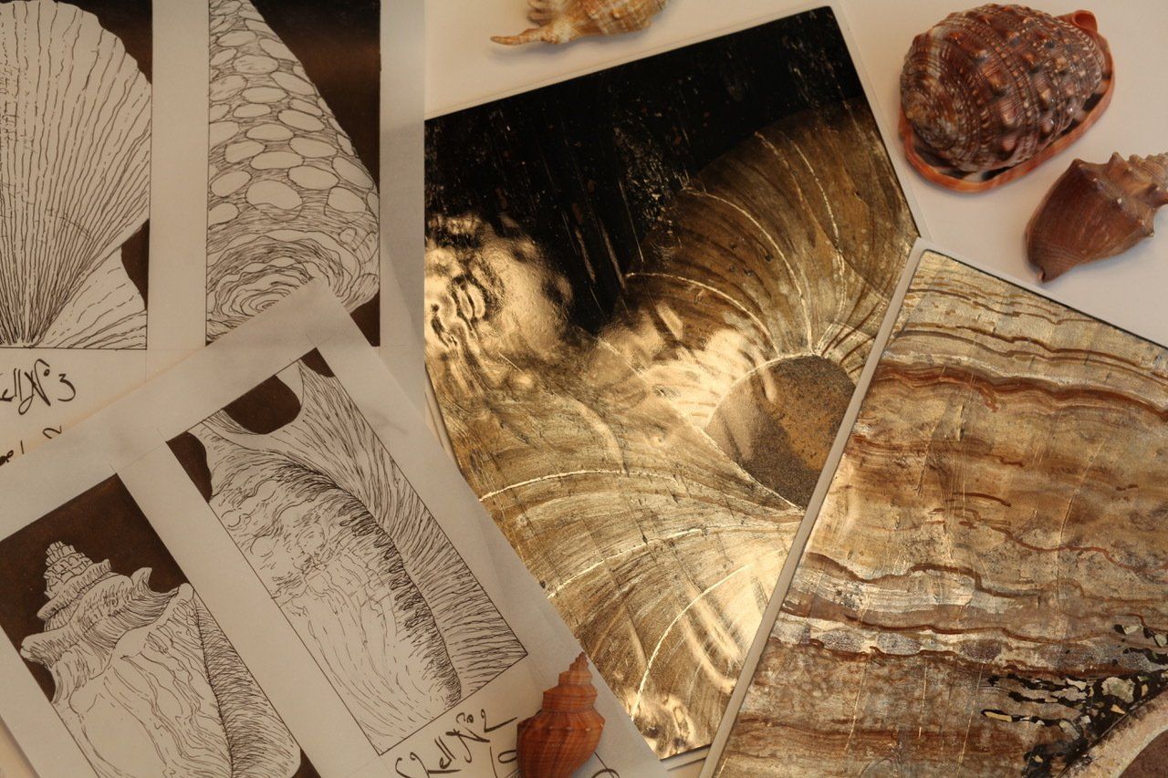 A bunch of seashells are laying on a table