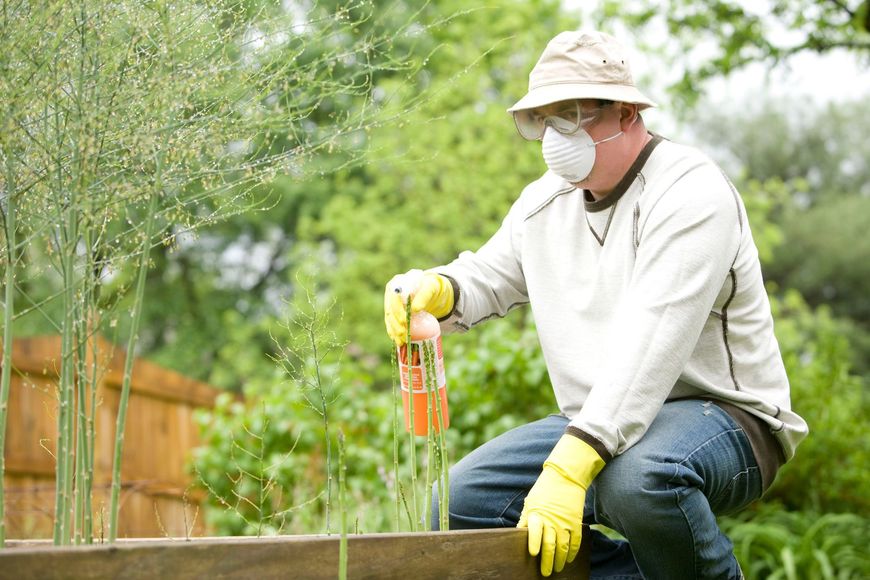 Man wearing mask, gloves and goggles spraying crops with chemicals