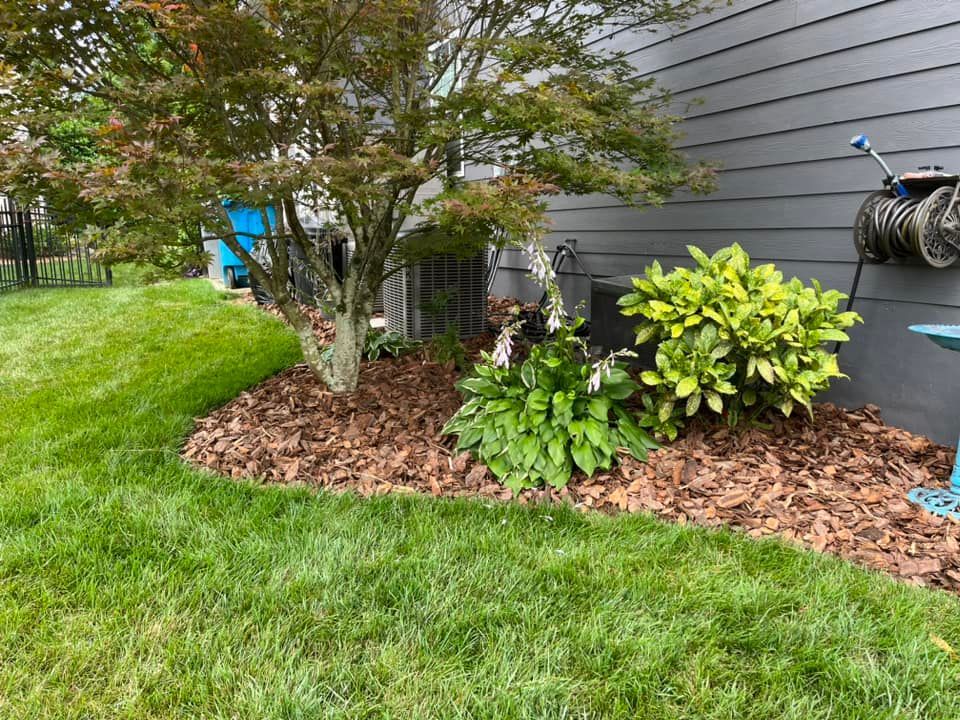 A landscaped yard with a tree, mulch, and green plants next to a gray house.
