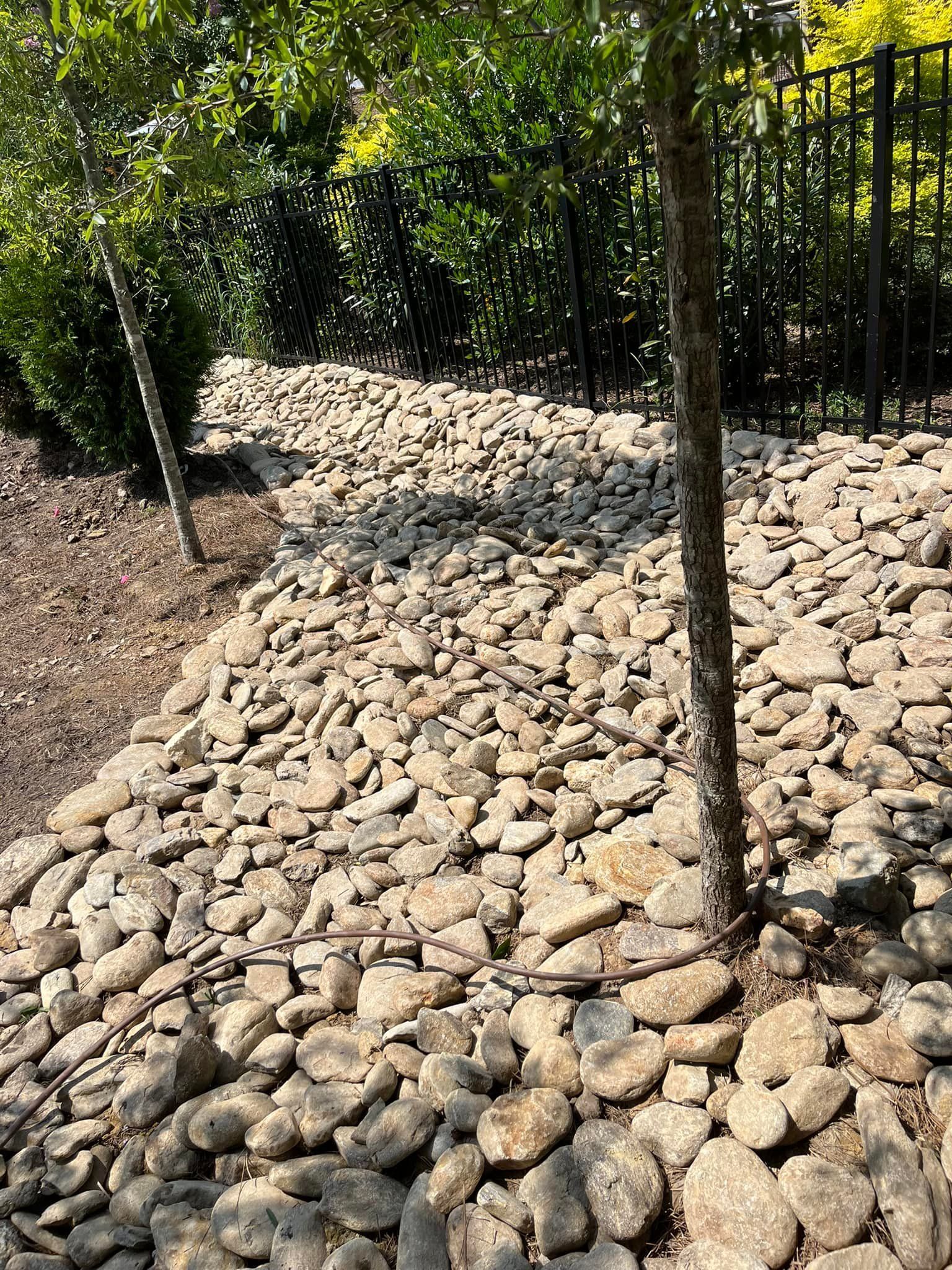 Rocks bordering trees and a fence.
