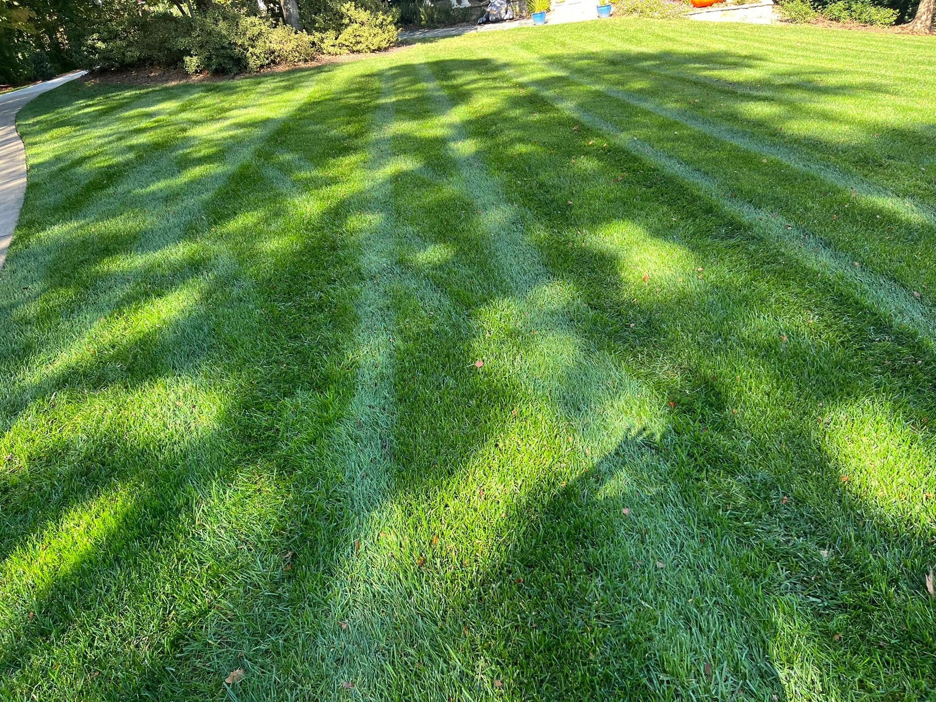 Lawn with alternating light and dark green stripes, created by mowing, under tree shadows.