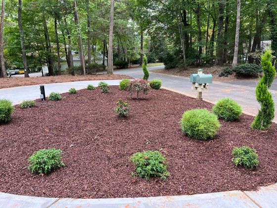 Circular flowerbed with red mulch and green shrubs and trees. Gravel driveway.