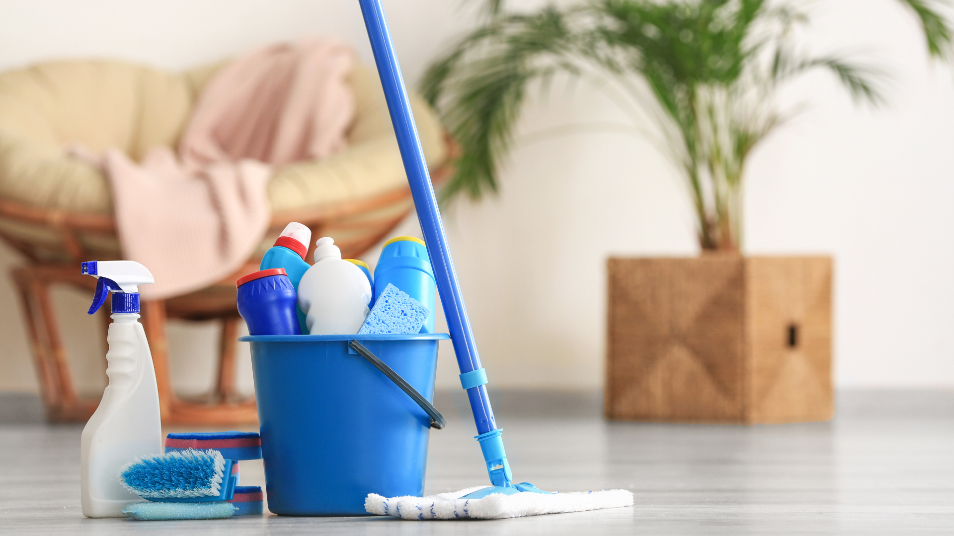 7 Exclusive Cleaning Tips for A Pest-Free Home