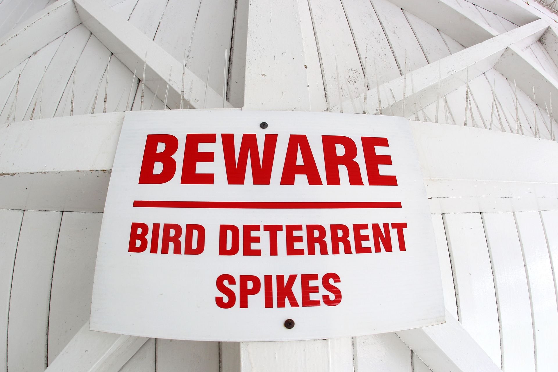 Bird Deterrent Spikes