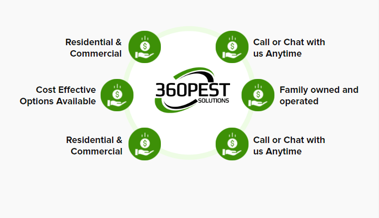 Why 360 Pest Solutions