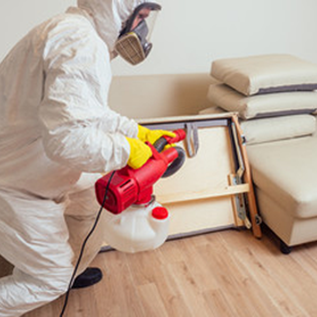 Residential Disinfection Gold Coast 360 Pest Solutions