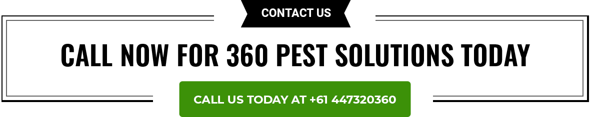 Call 360 Pest Solutions Today