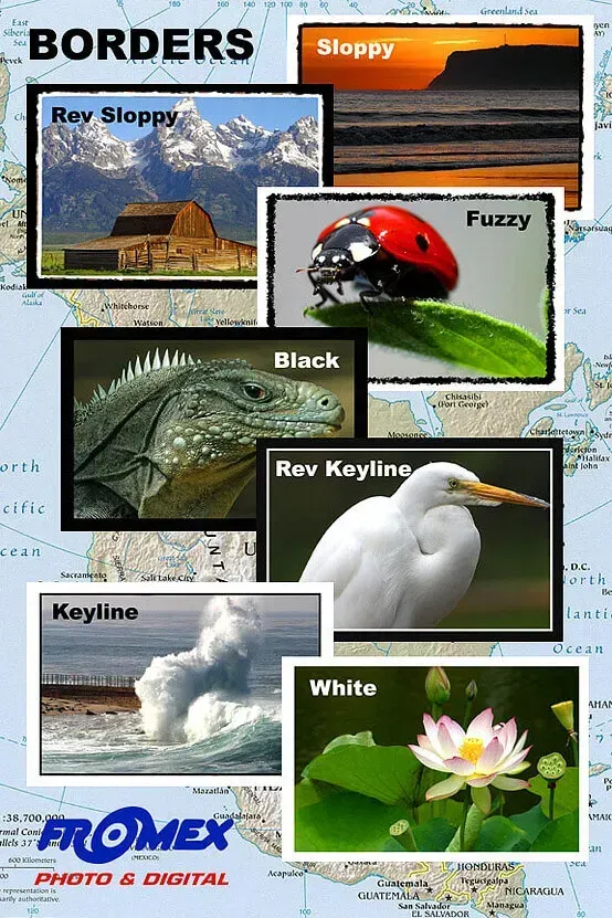 Borders - Fromex Photo and Digital | Signal Hill, CA 90755-2270