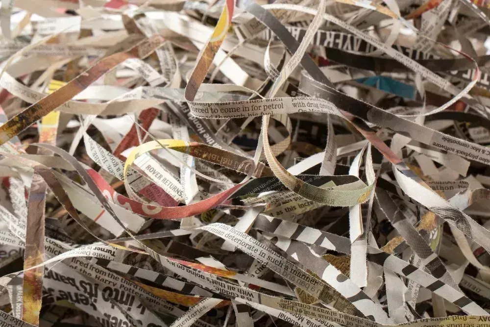 Shredded strips of paper, primarily newsprint, piled in a heap.