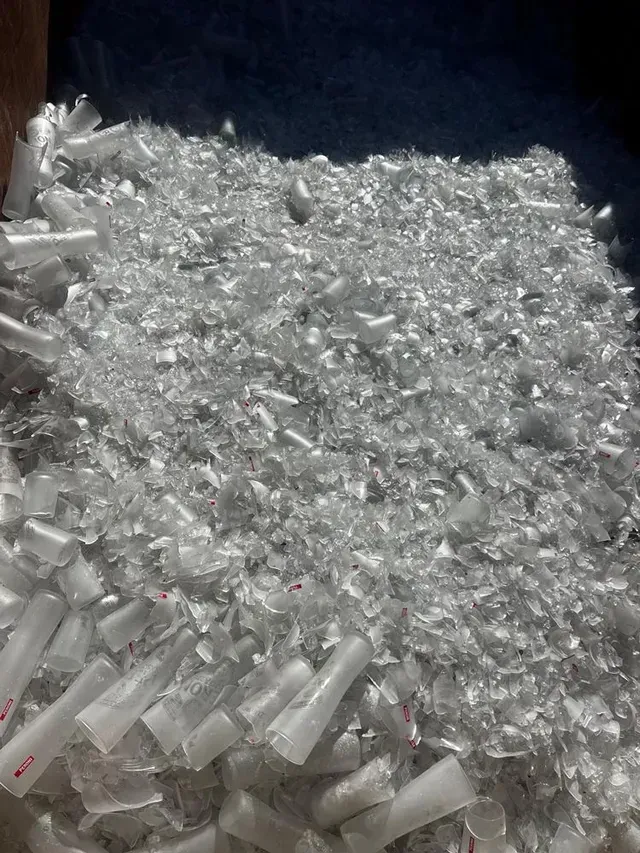 Shredded, clear plastic medical device waste piled together in a bin.