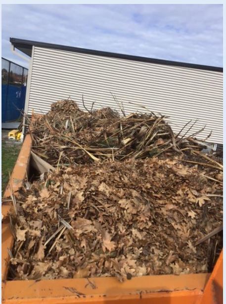 Orange dumpster filled with brown leaves and twigs, against a building with light gray siding.