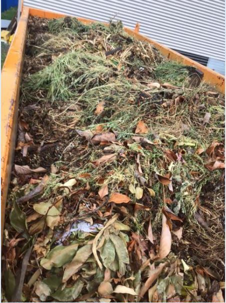 A yellow container filled with organic yard waste: leaves, grass clippings, and twigs.