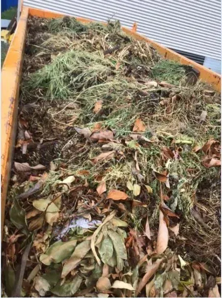 A yellow container filled with organic yard waste: leaves, grass clippings, and twigs.