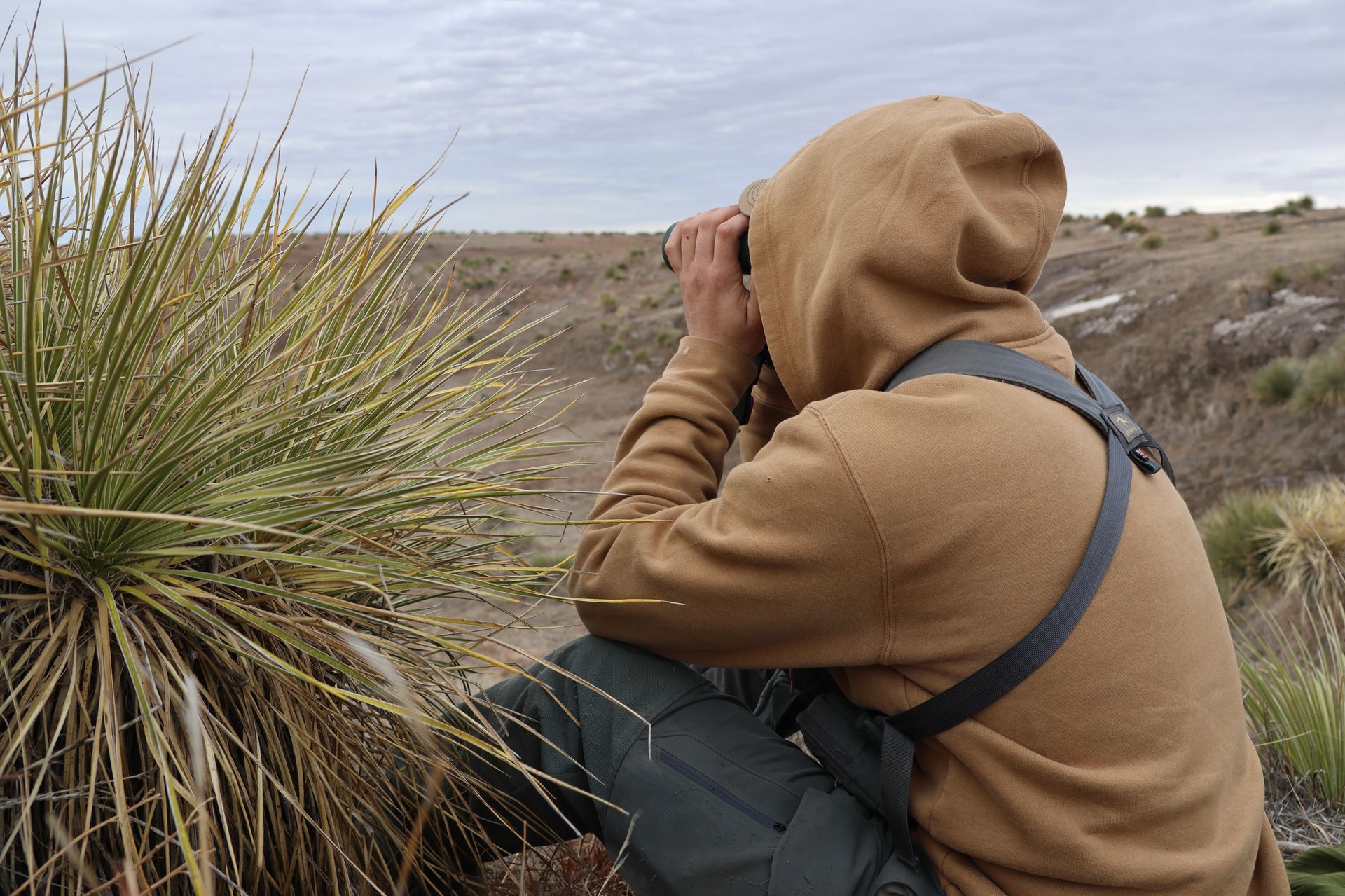 Person in a brown hoodie using binoculars, surveying a grassy landscape on an overcast day.