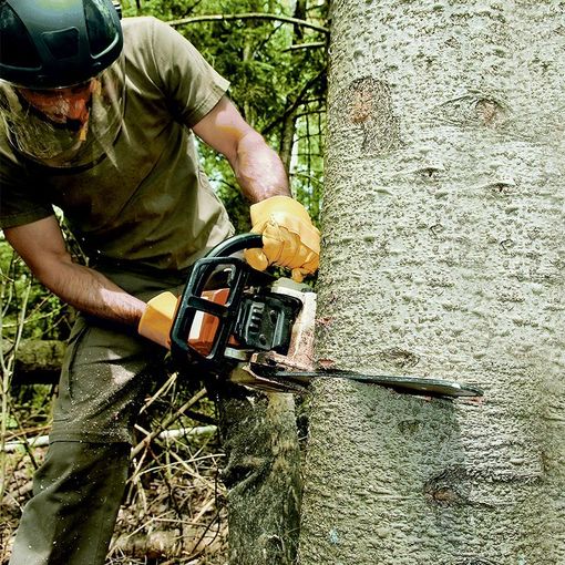 Tree Removal & Trimming Tree Removal & Trimming