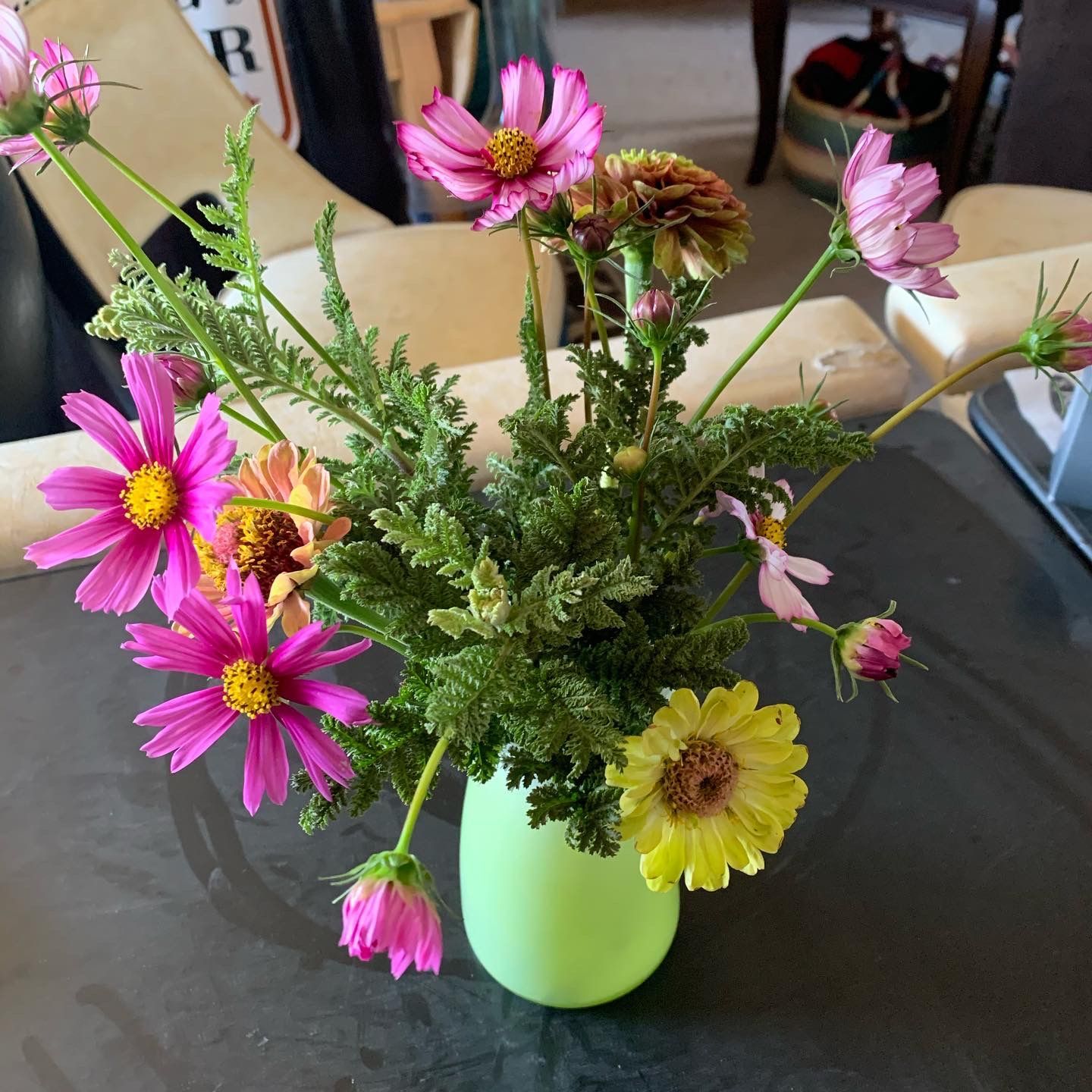 colorful grown flowers