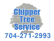 The logo for chipper tree service shows a tree with a phone number.