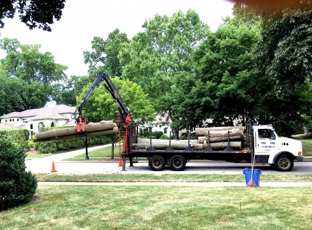 Stub Removal — Truck Carrying Cut Trees in Cuyahoga Falls, OH
