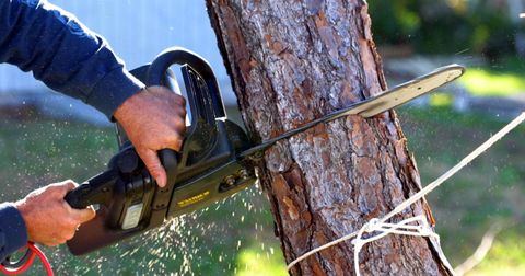 Tree Grinding — Cutting Tree using Chainsaw in Cuyahoga Falls, OH