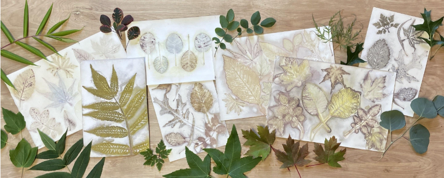 Botanical Printing on Paper Workshop with Lynne Gavin (Colors of Nature VT)