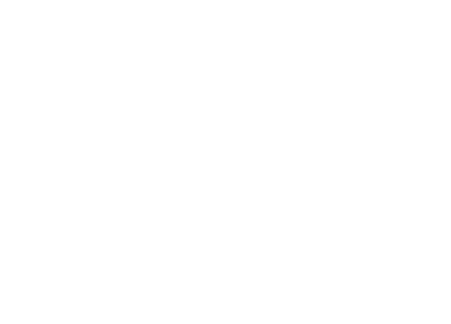 Dominion Custom Clothiers Logo