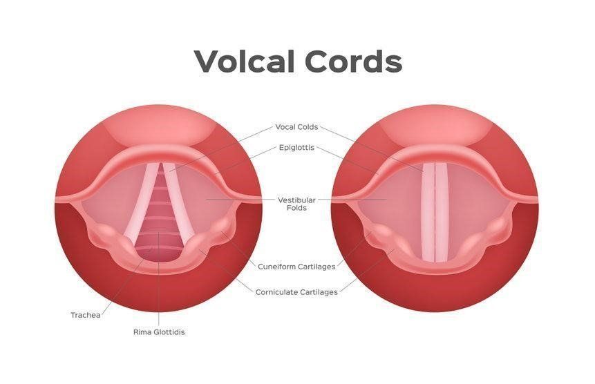 What Is Vocal Cord Paralysis?