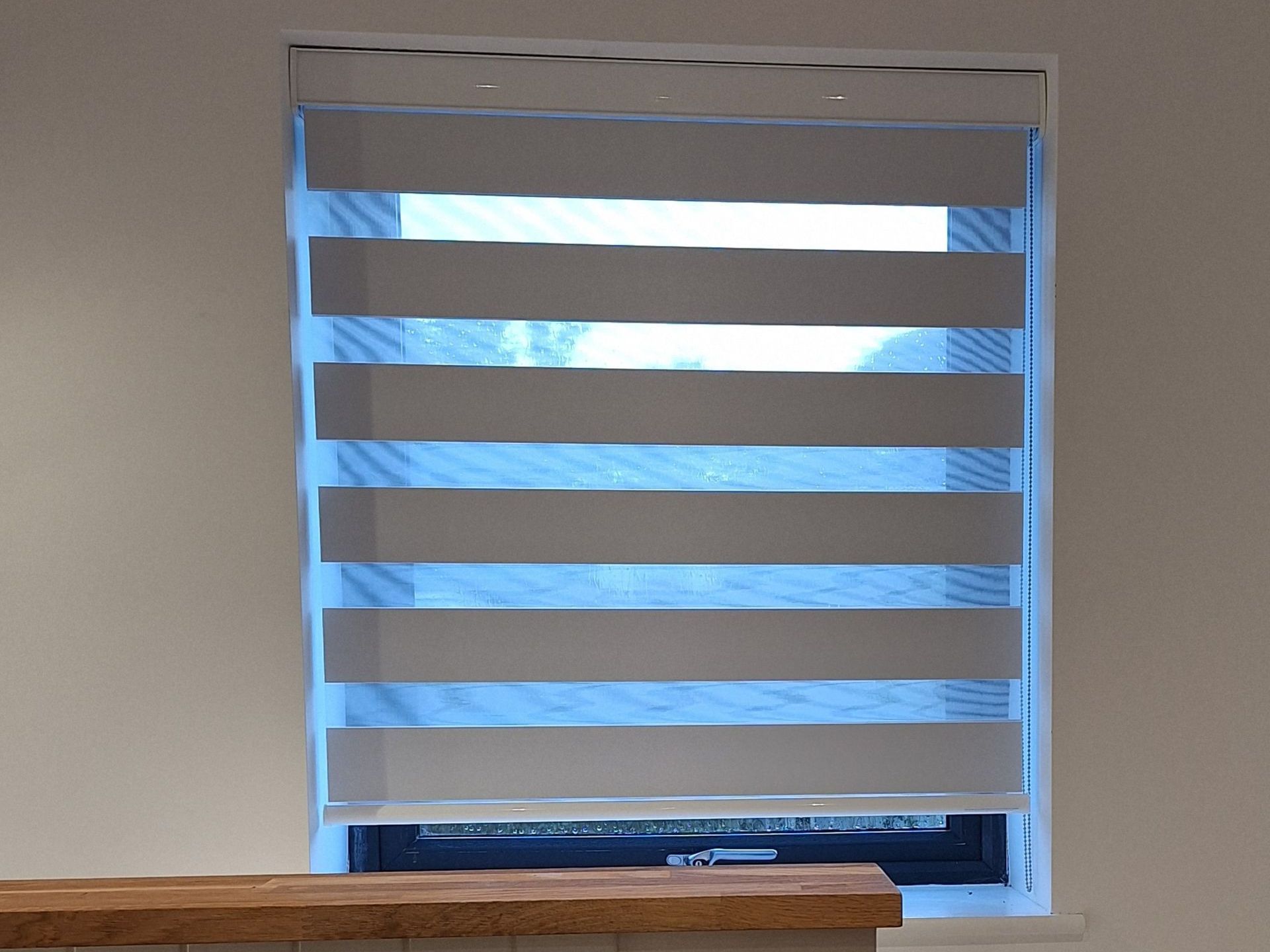 Vision Blinds