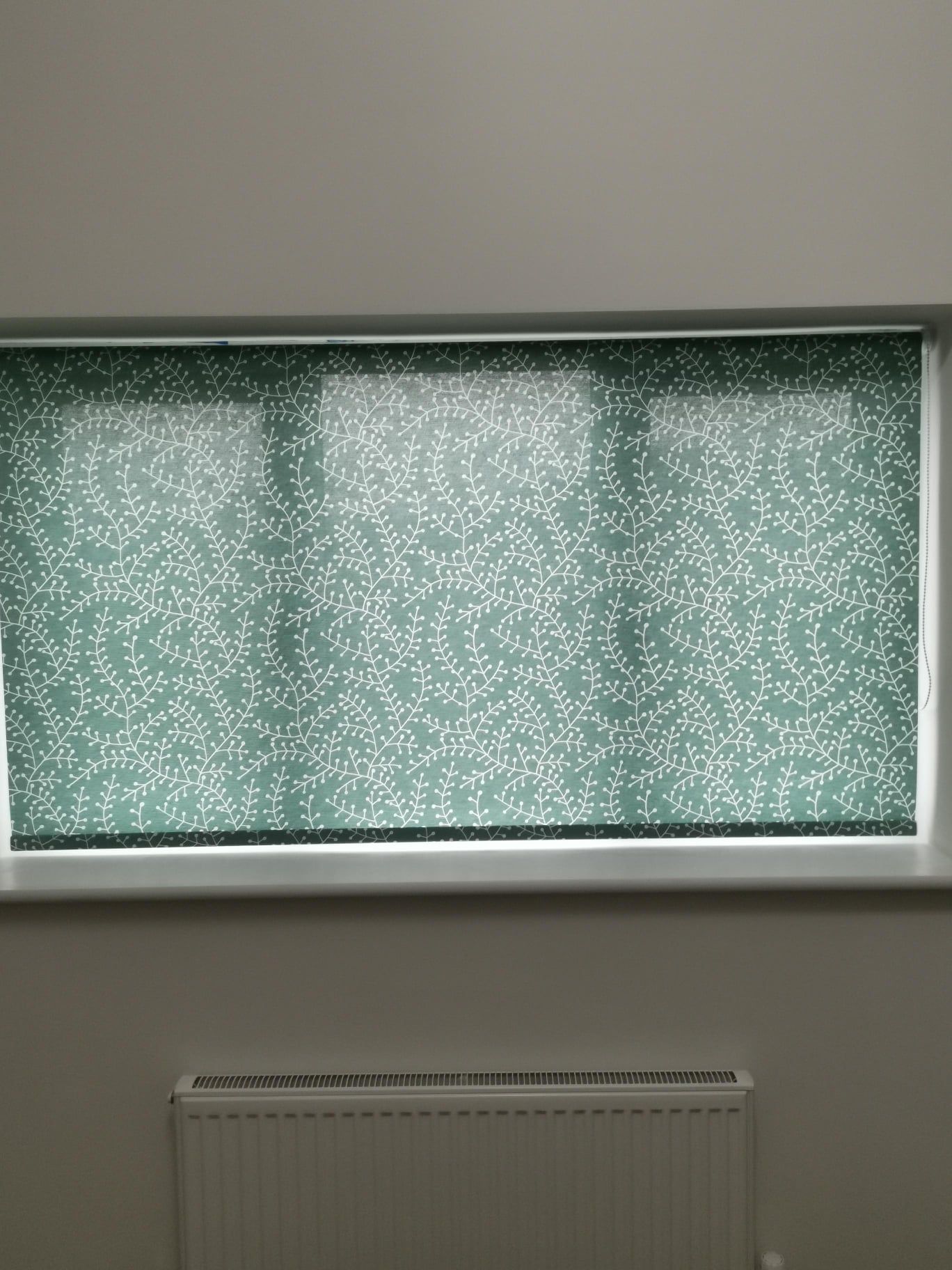 window blinds 6