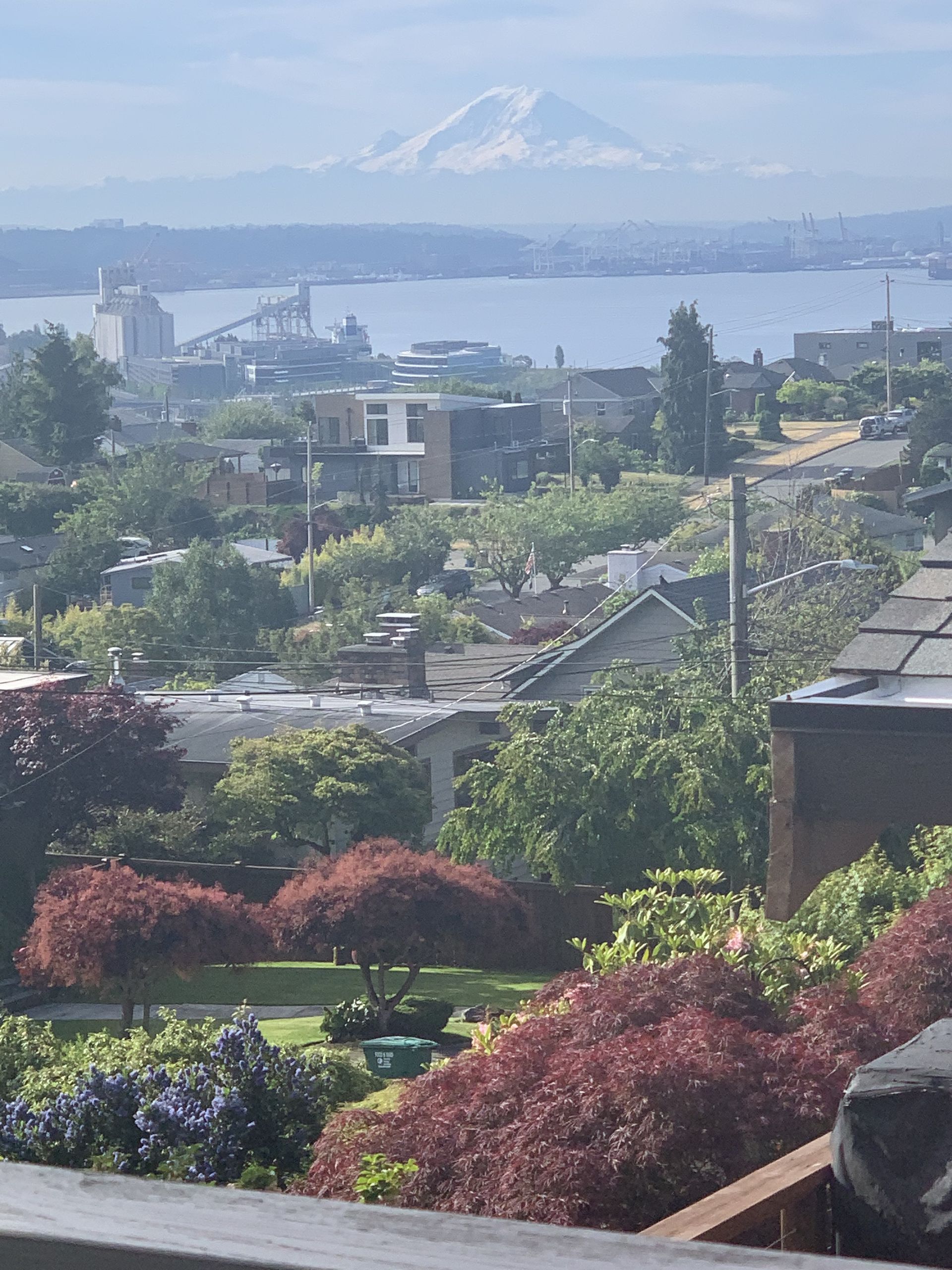 A view of a city with a mountain in the background