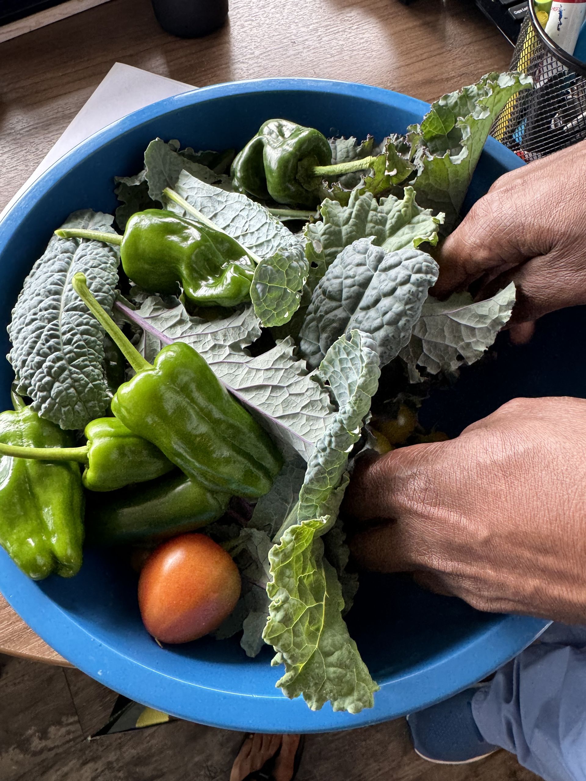 A person is holding a bowl of vegetables on a table.