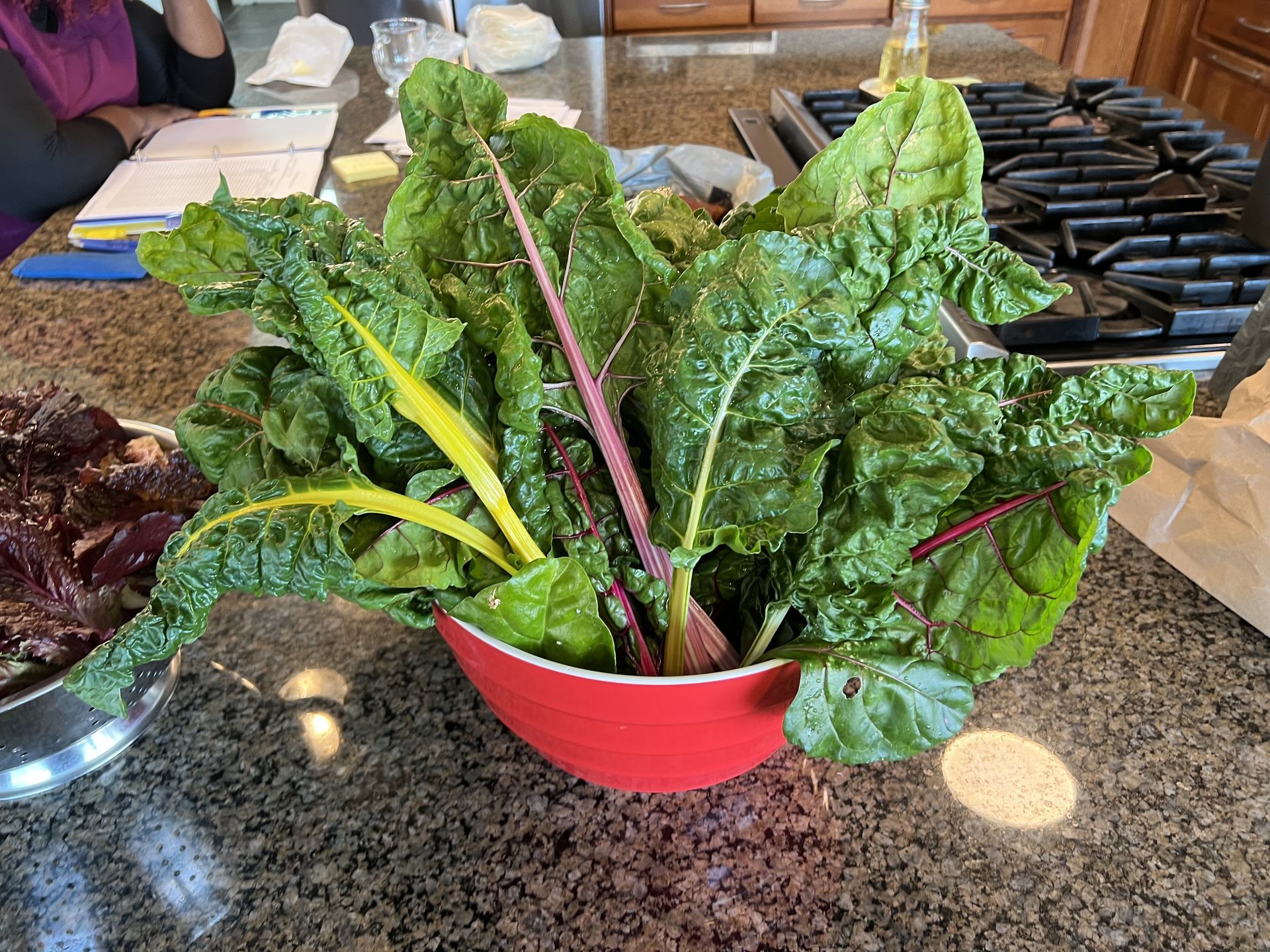A red bowl filled with green leaves is on a kitchen counter.