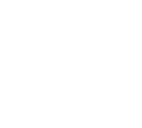 viru tours travel