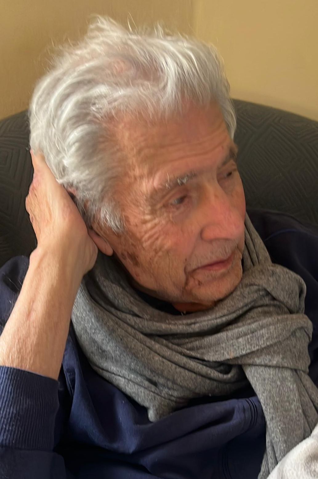 necrologio Alberto Andrea D'Amico