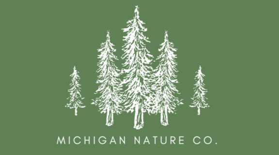White line drawing of fir trees over