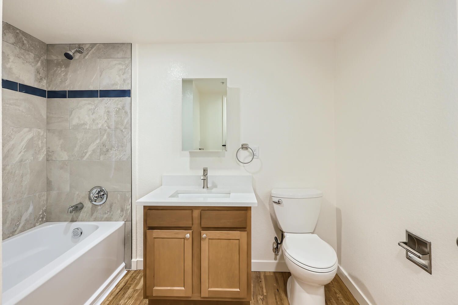 Bathroom toilet and tub