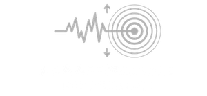 Icon of an earthquake: seismic waves connected to a target emitting concentric circles, vertical arrows.