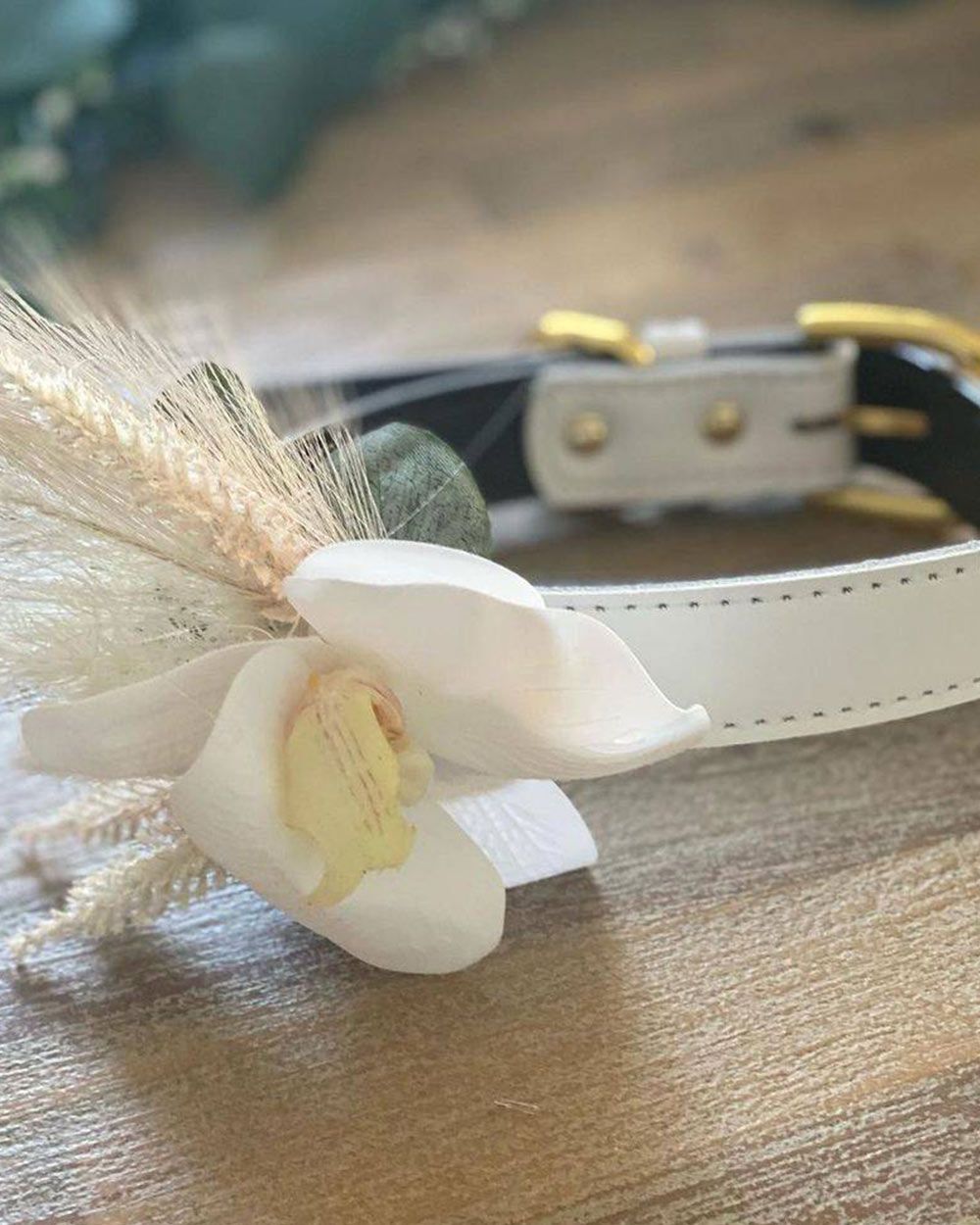 White Collar Flower — Vintage La Belle In Mount Hutton NSW