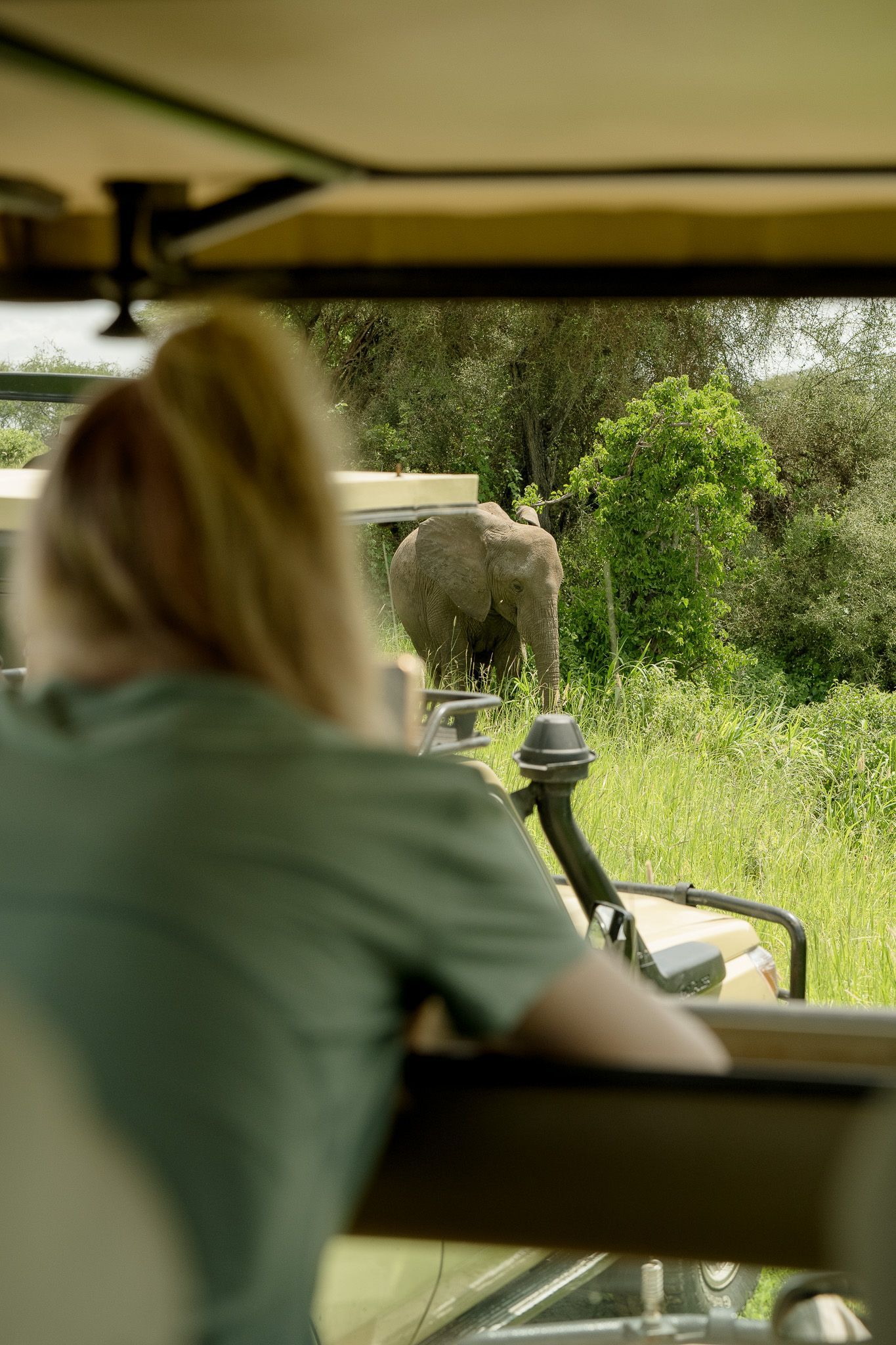 A woman is sitting in a jeep looking at an elephant.