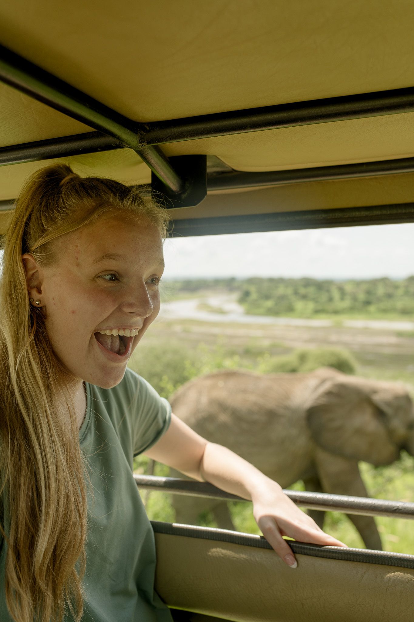 A woman is sitting in the back of a vehicle looking out the window at an elephant.