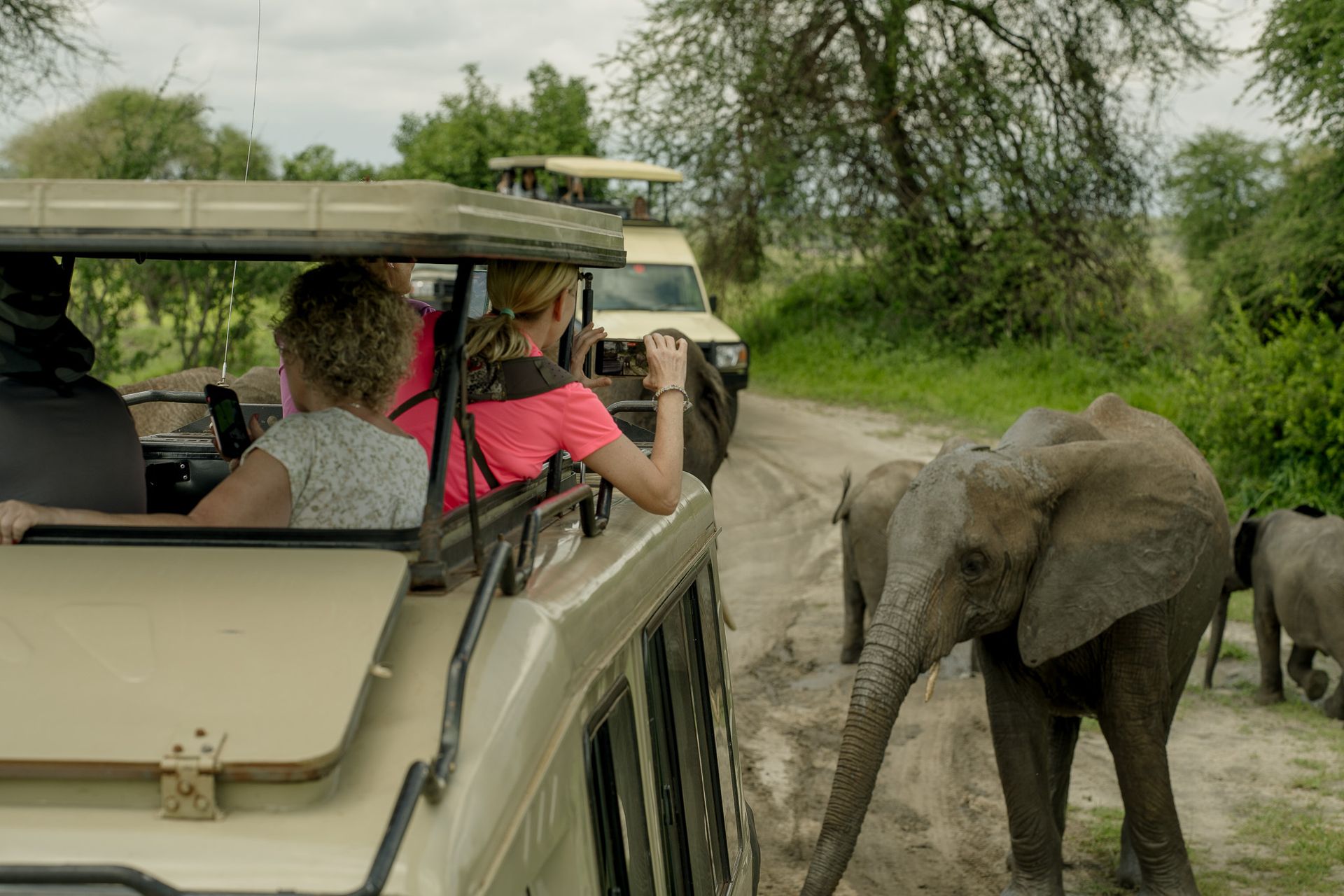 A group of people are taking pictures of an elephant on a safari.
