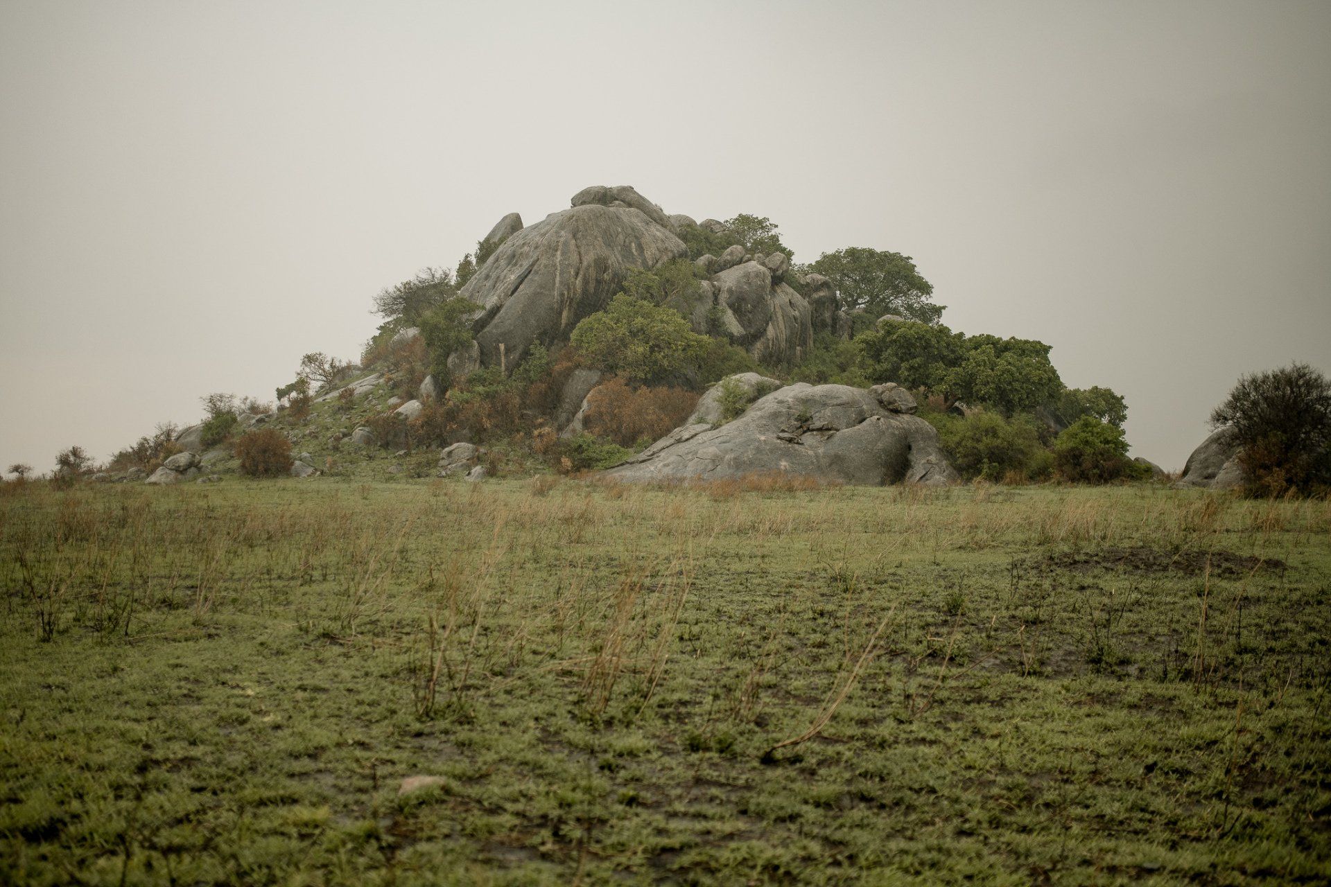 A large rock in the middle of a field with trees in the background.