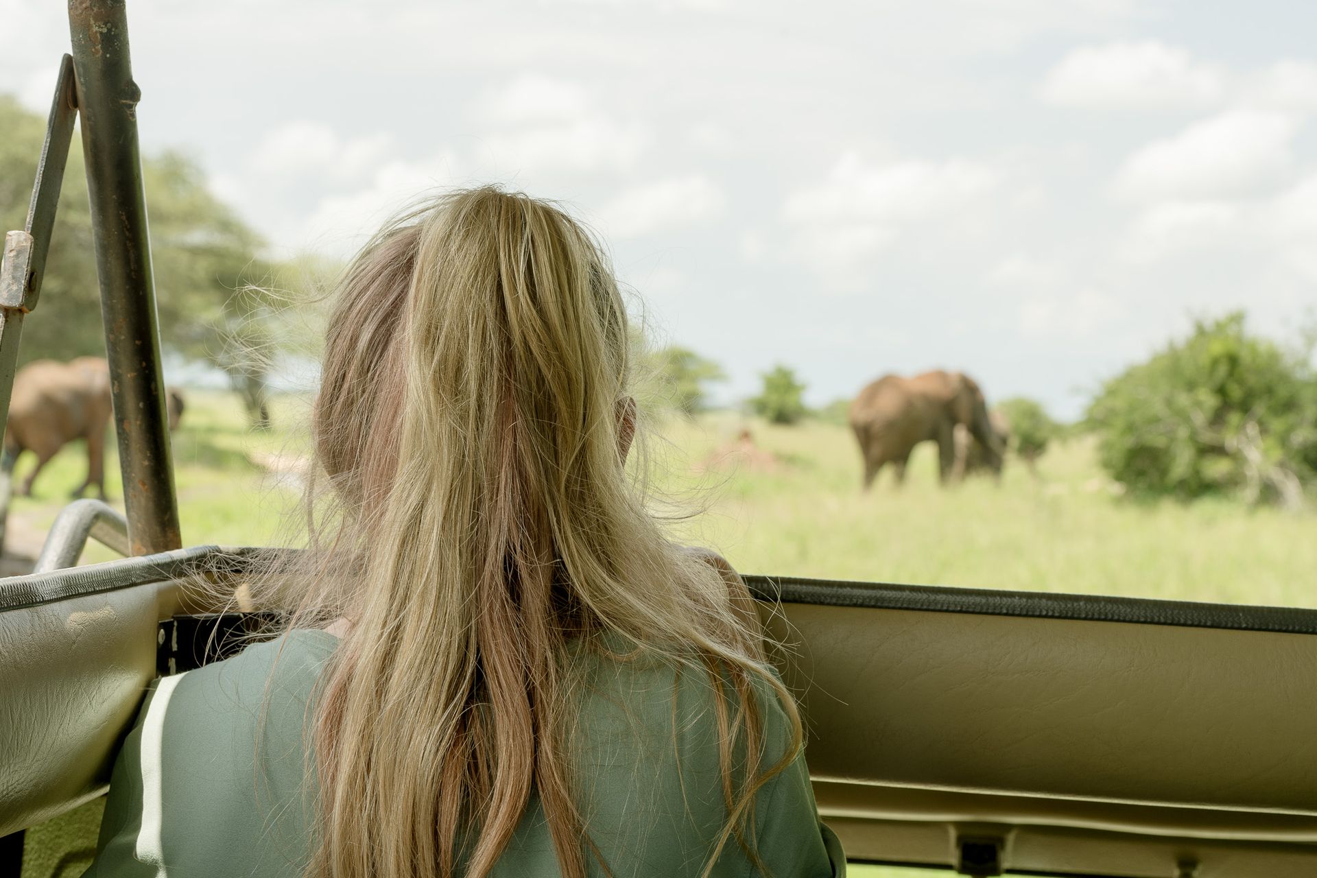 A woman is sitting in a car looking out the window at elephants.