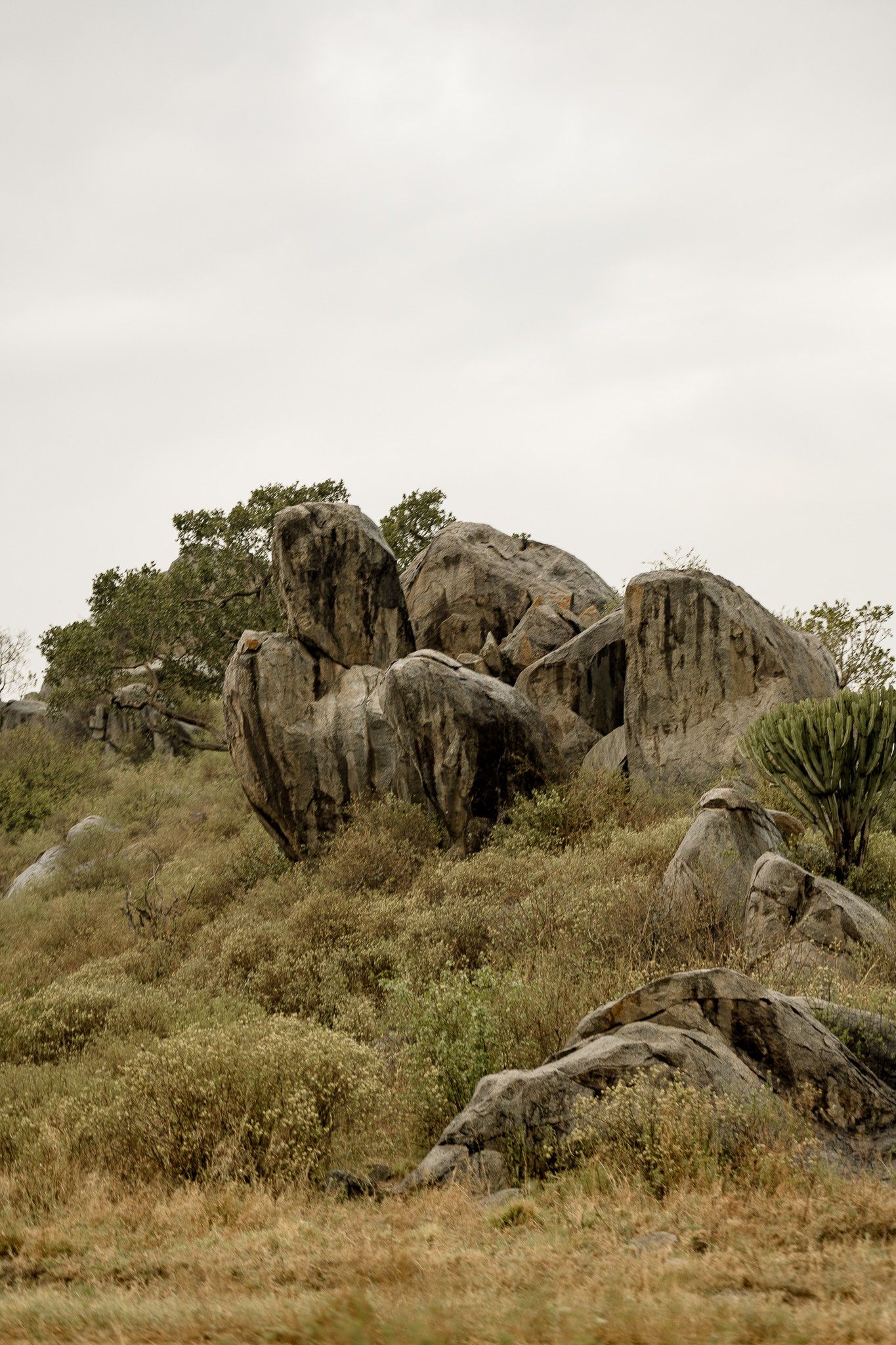 A large rock formation in the middle of a field.