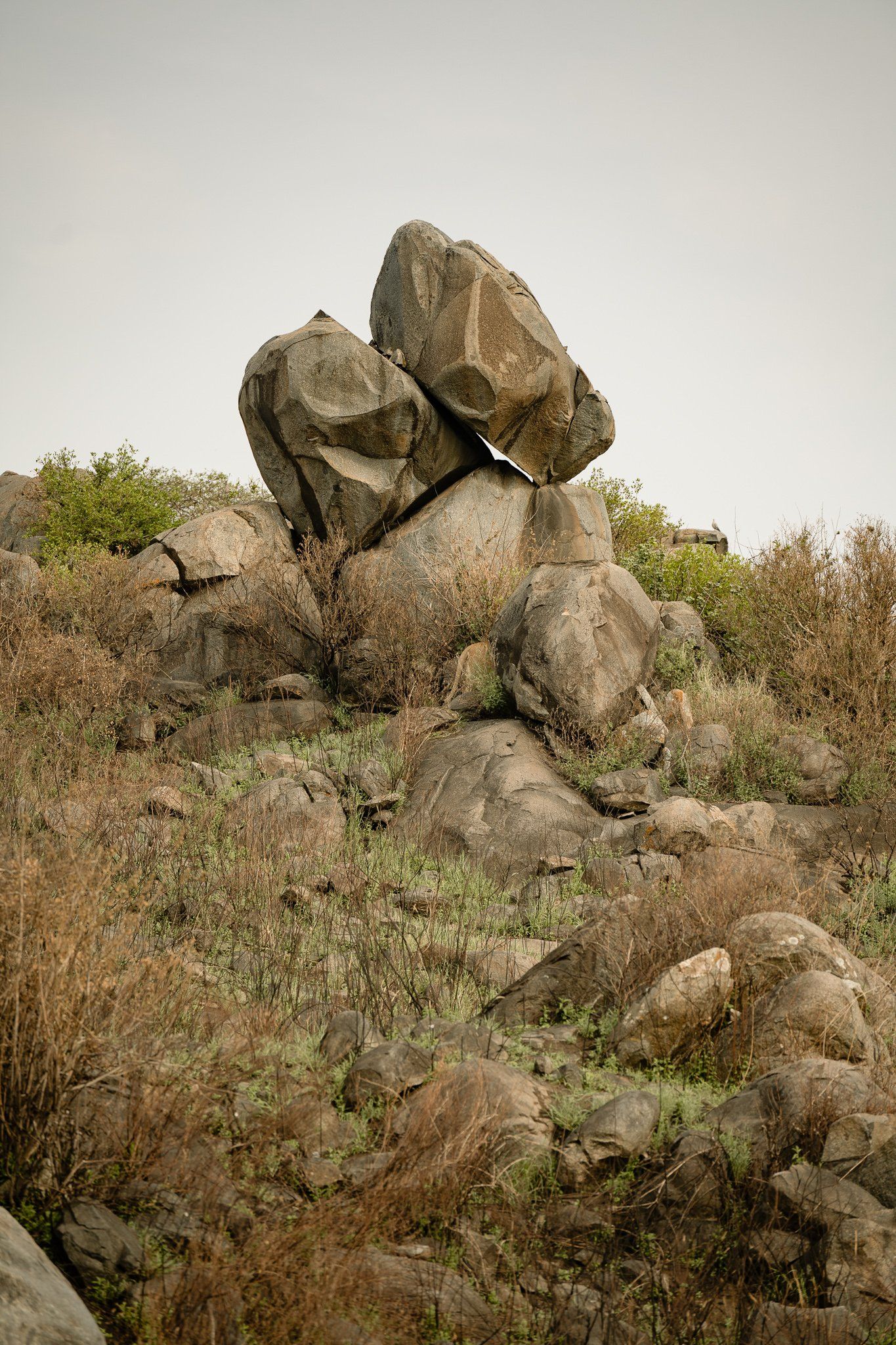 A large rock sitting on top of a hill in the middle of a field.