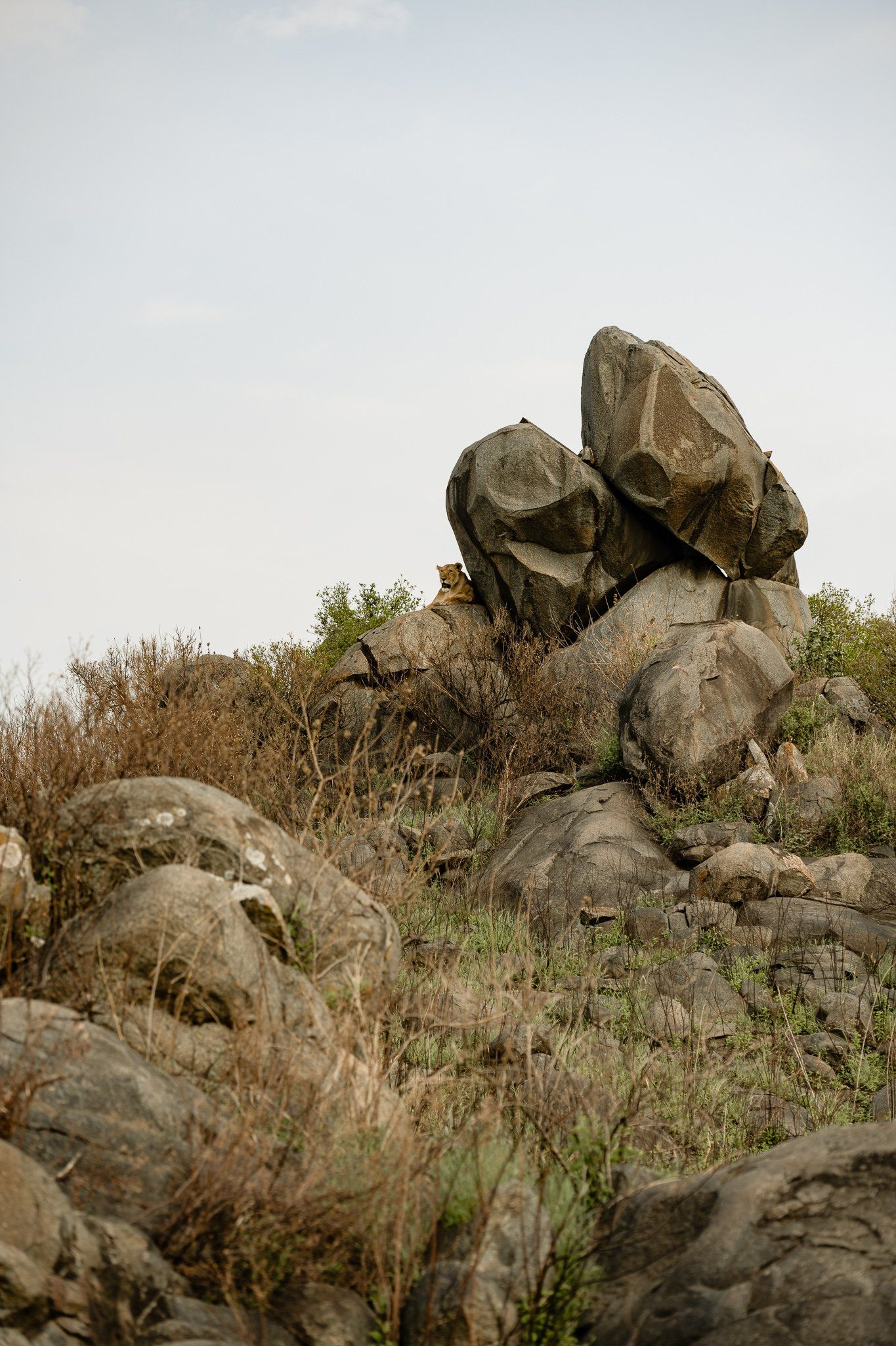 A pile of rocks sitting on top of a hill.