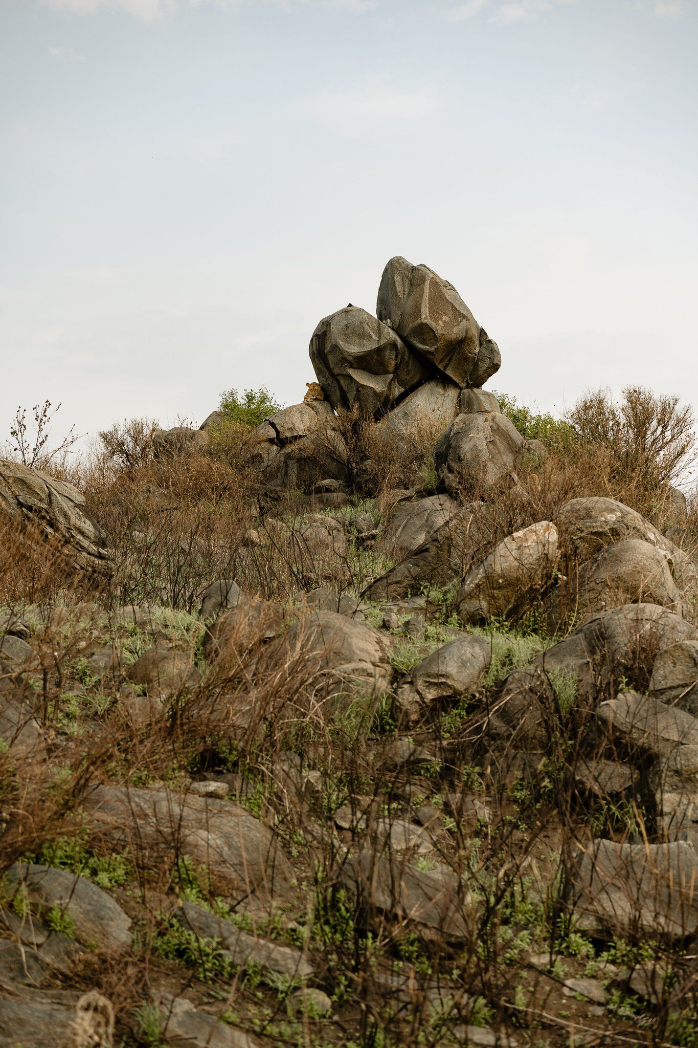 A pile of rocks sitting on top of a hill.