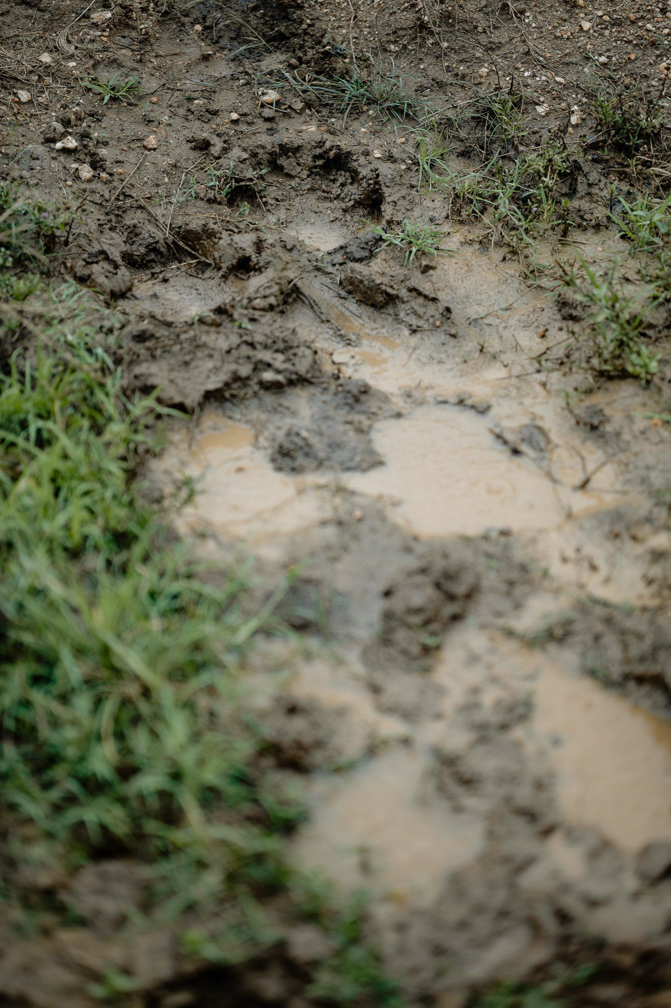 A close up of a muddy path with footprints in the mud.