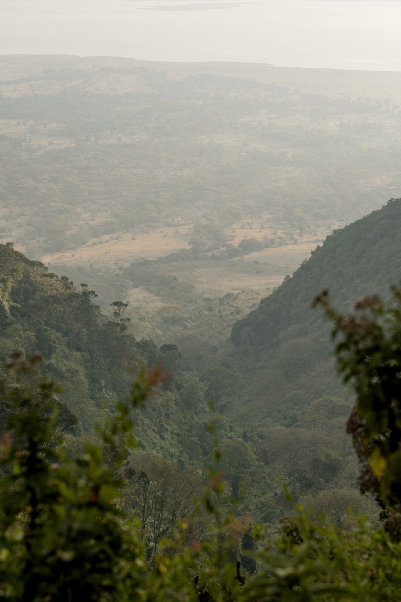 A view of a valley from the top of a mountain.