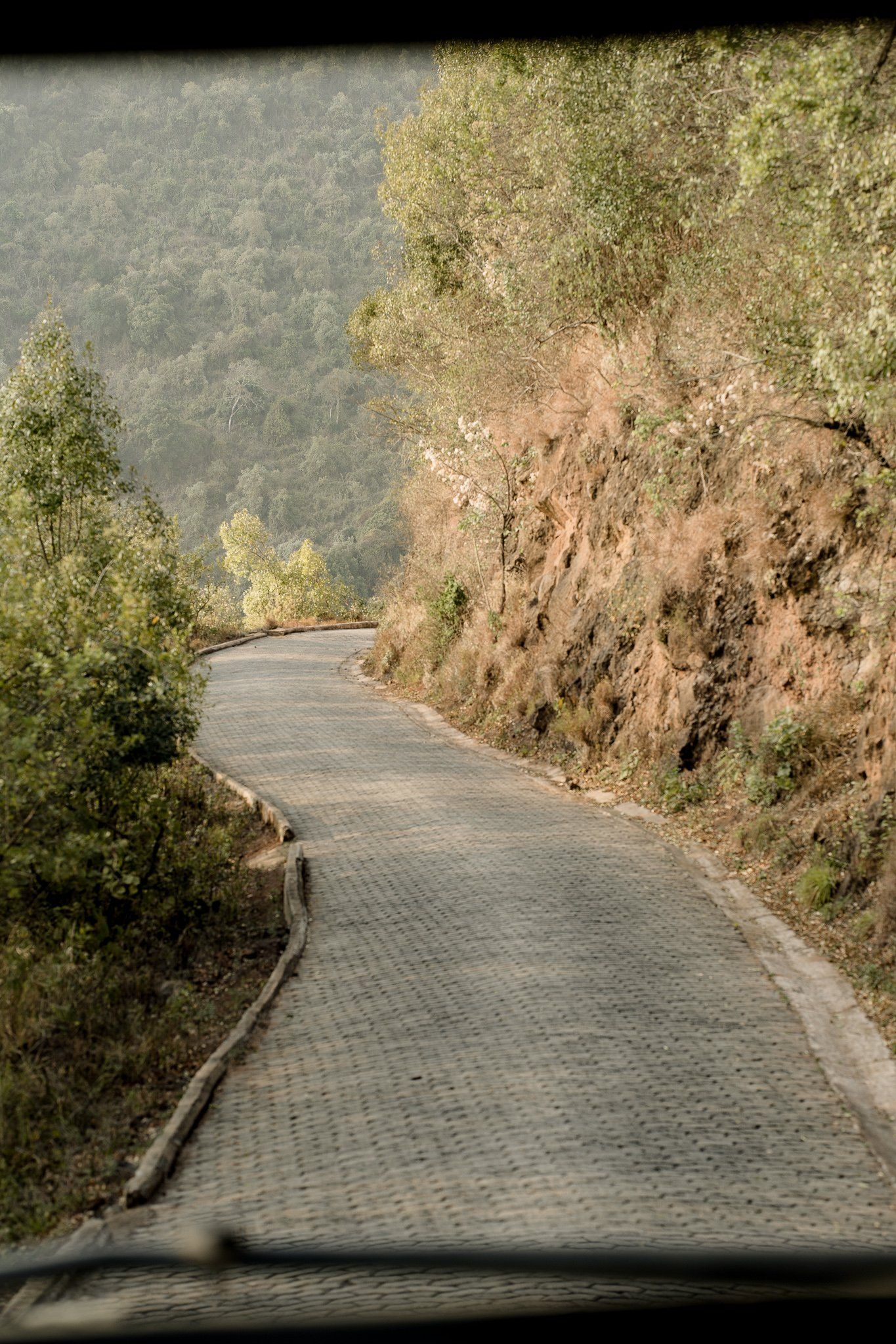 A view of a winding road through a car window.