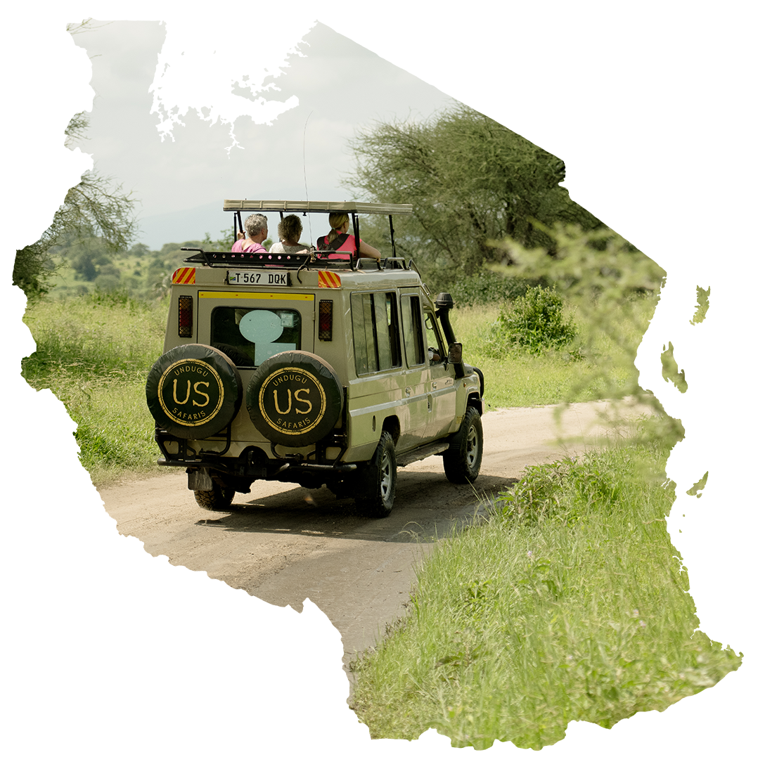 A us jeep is driving down a dirt road